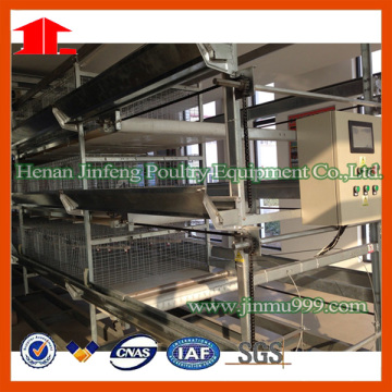 Poultry Feed Manufacturers H Type Layer Chicken Cage Farm Equipment for Chicken
